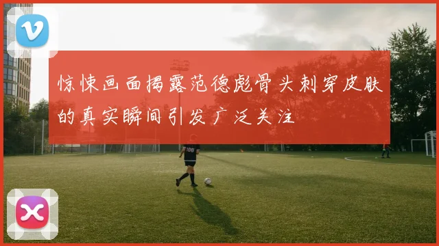 惊悚画面揭露范德彪骨头刺穿皮肤的真实瞬间引发广泛关注