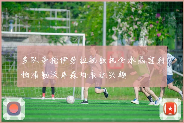 多队争抢伊劳拉执教机会水晶宫利物浦勒沃库森均表达兴趣